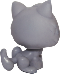#0066 Kitten