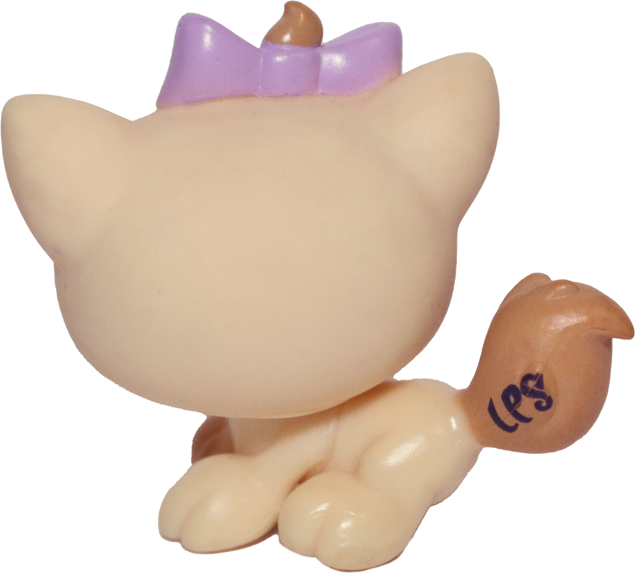 #1337 Kitten