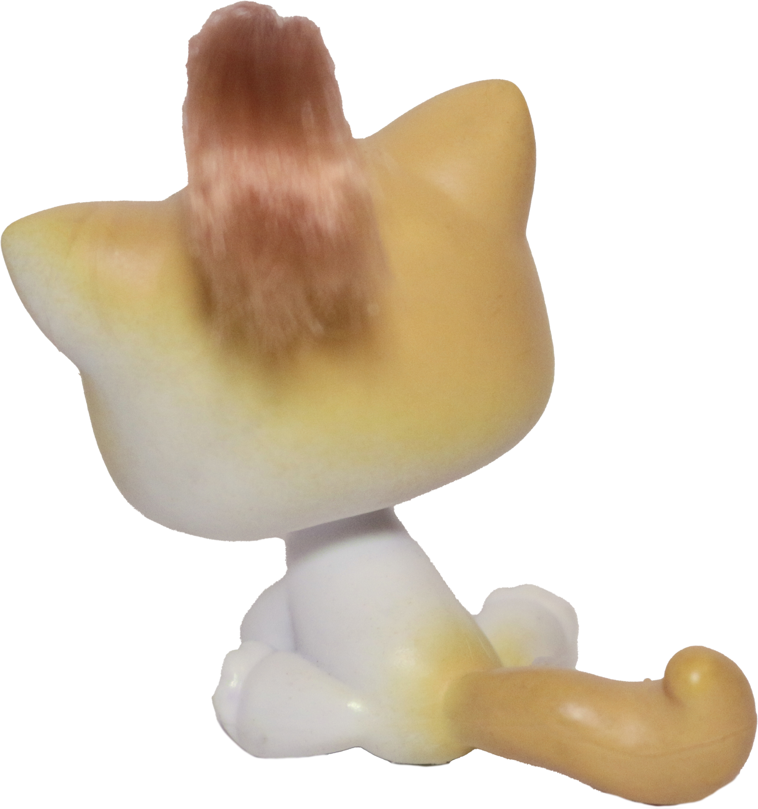 #0042 Sitting Cat