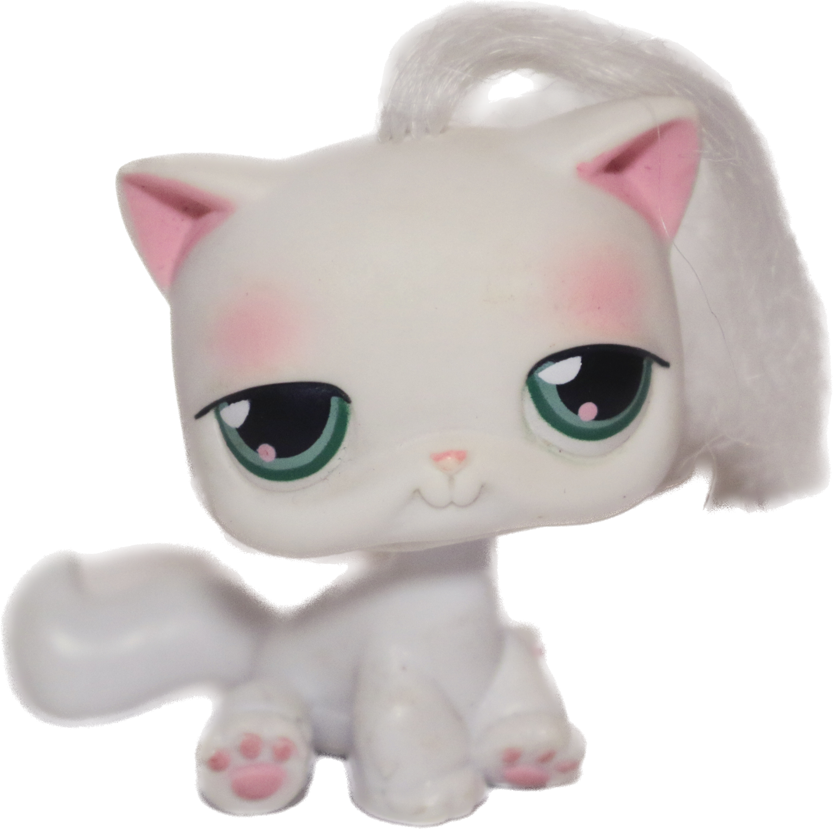 #0148 Sitting Cat