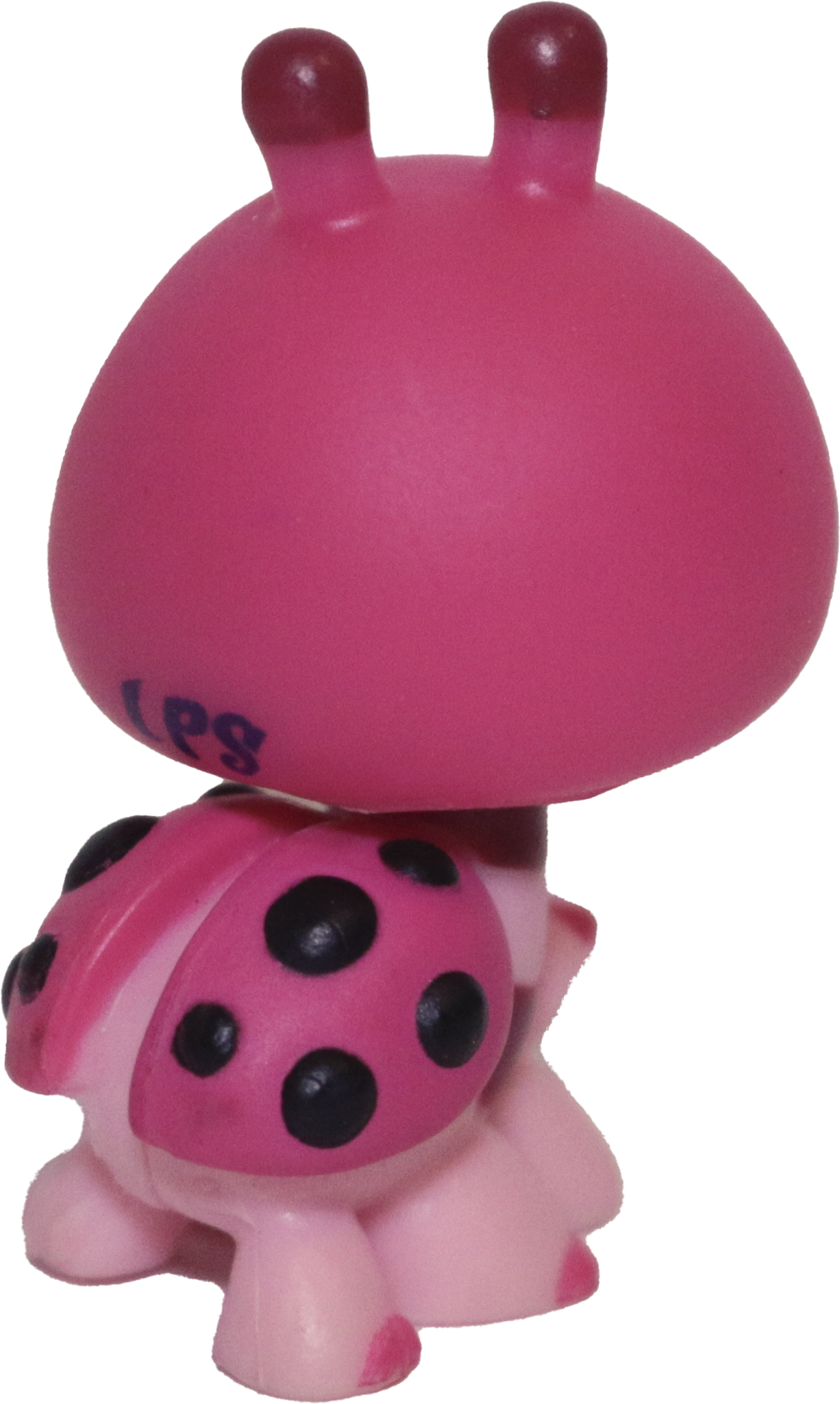 #1423 Ladybug