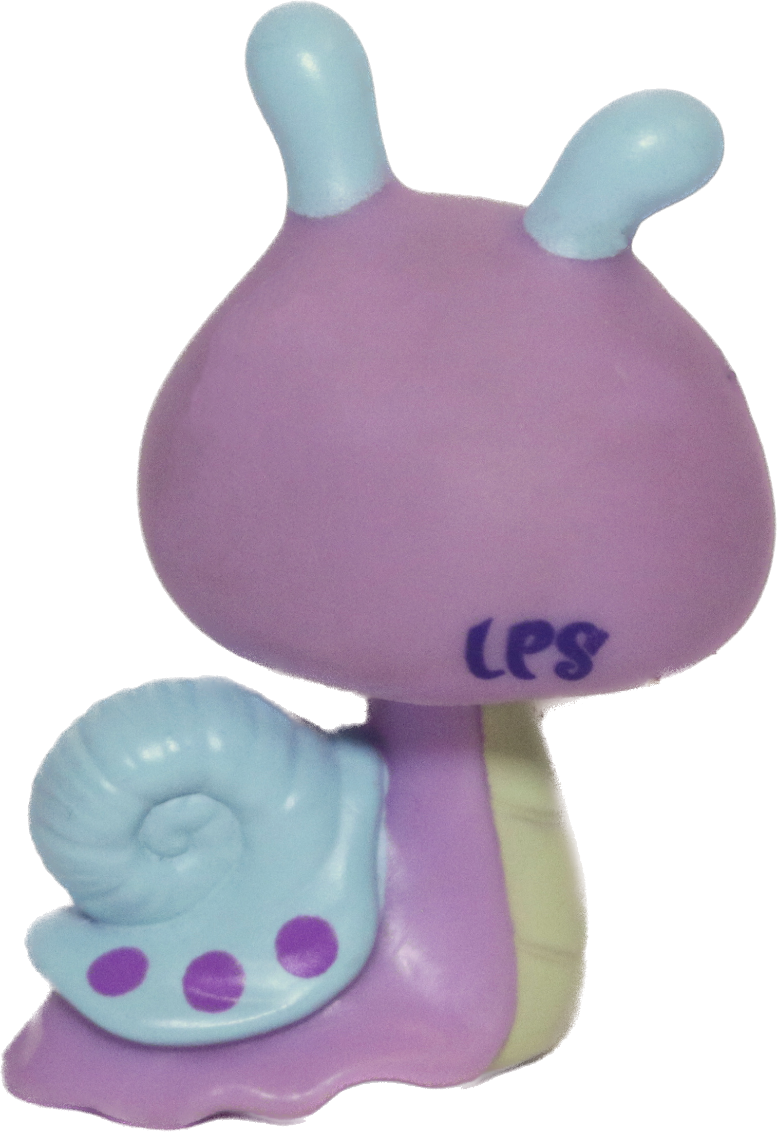 #2352 Snail