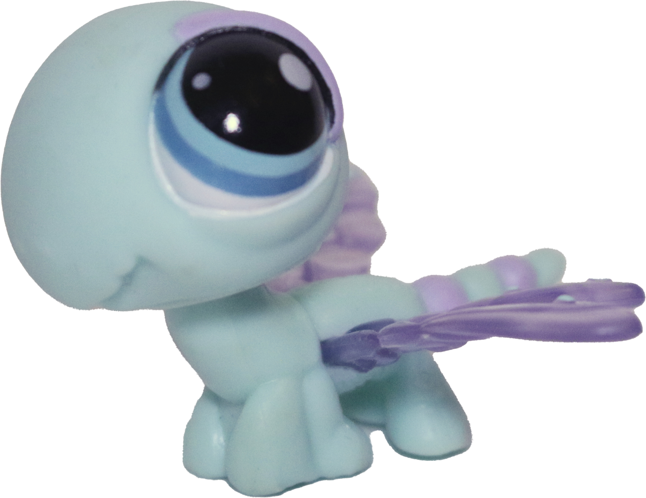 #1343 Dragonfly