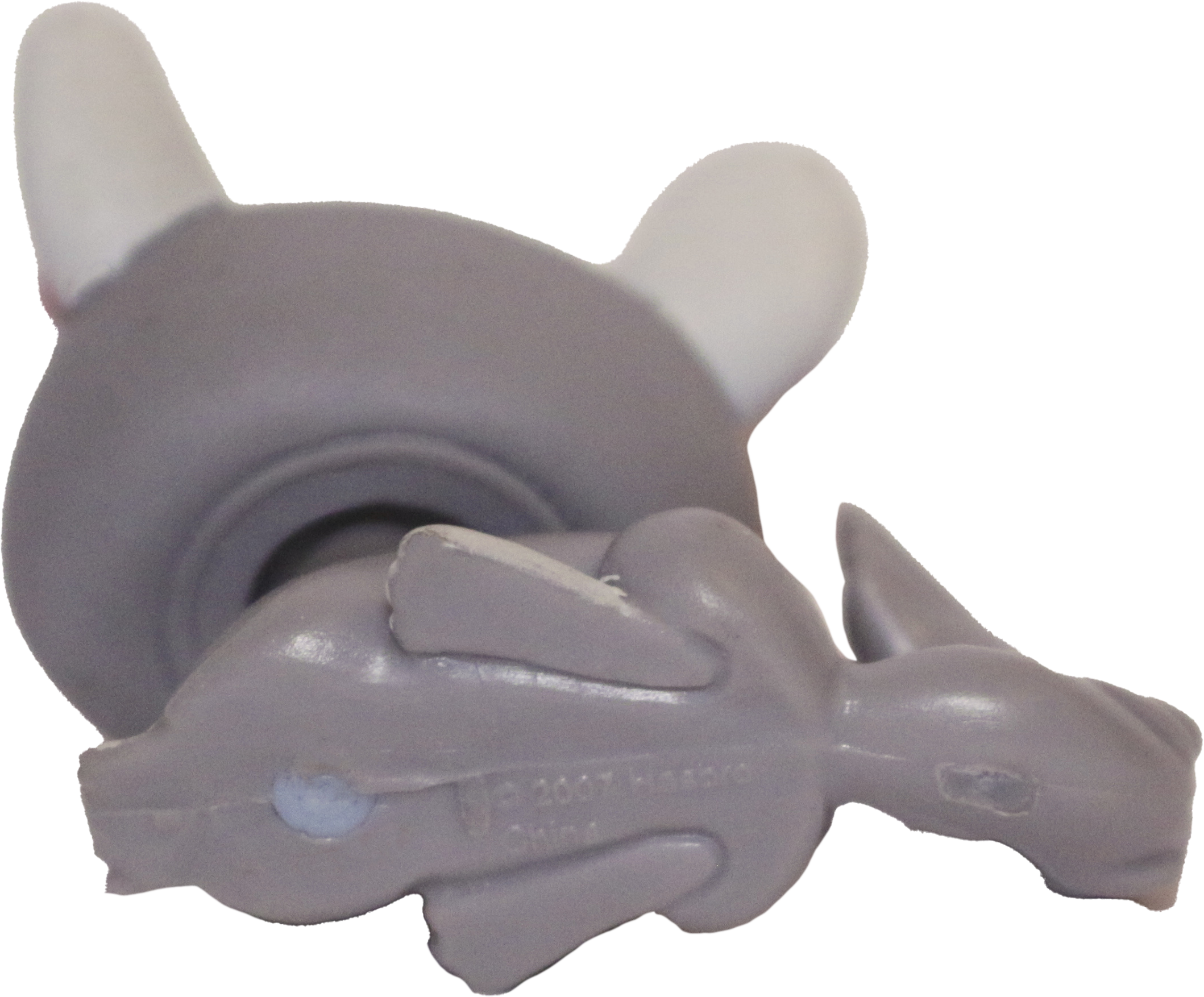 #0495 Chinchilla