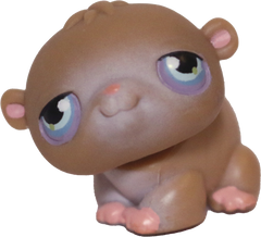 #0045 Hamster