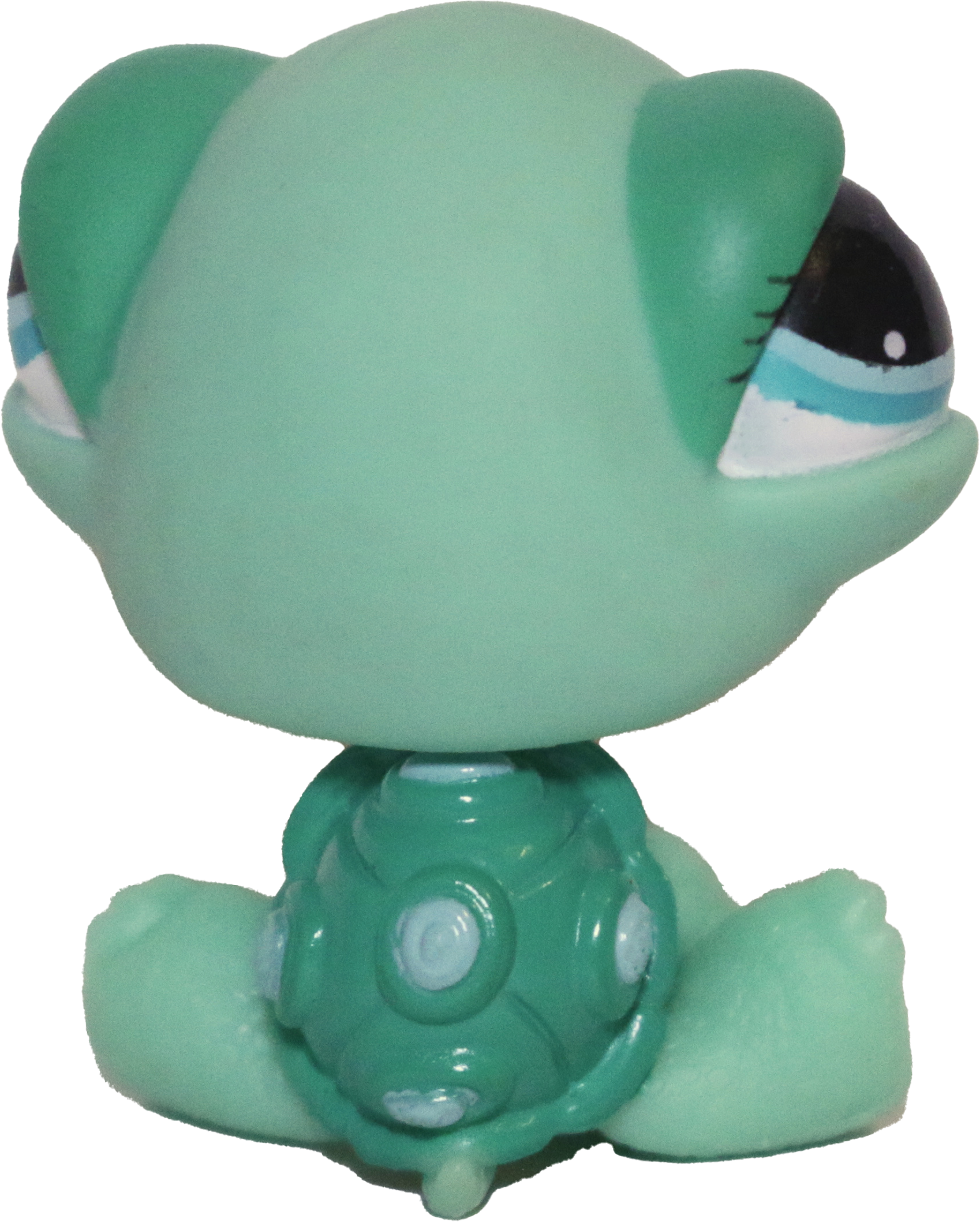 #0642 Turtle