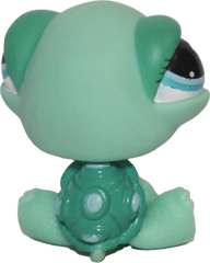 #0642 Turtle