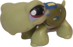 #0181 Turtle