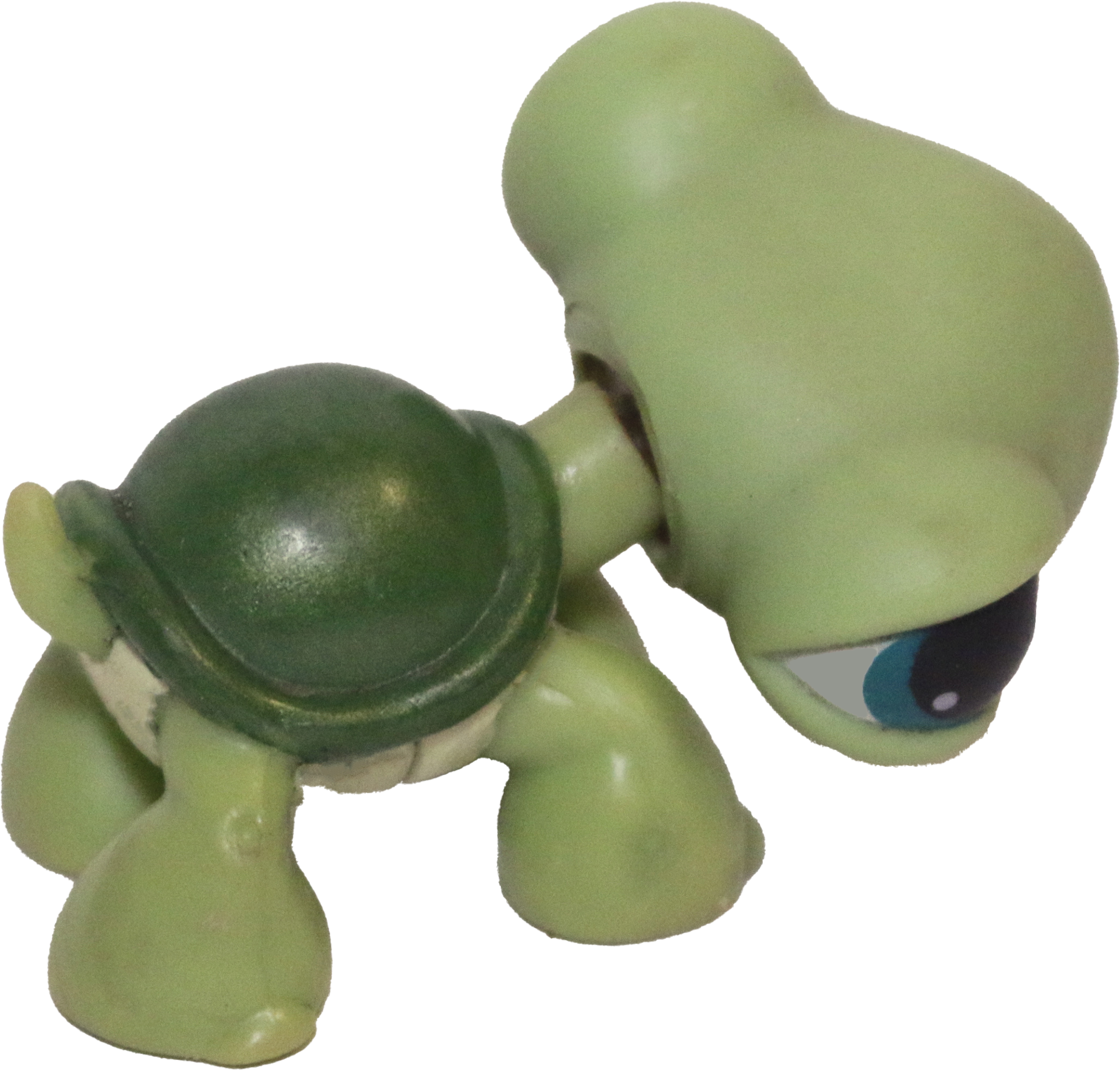 #0187 Turtle