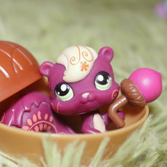 Acorn