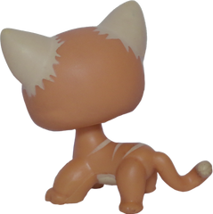 #0525/790 Shorthair Cat
