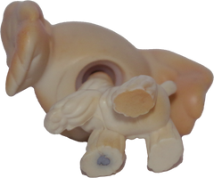 #0347 Cocker Spaniel