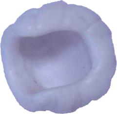 Cast
