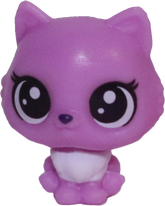 No # Teensy Persian Kitten