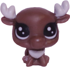 No # Teensy Moose