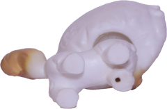 #1-104 Himalayan Cat "Himalia Cattrick"