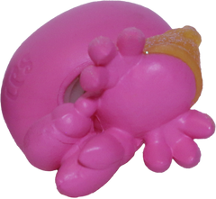 #1-69 Hermit Crab "Sunny Hiddencrab"