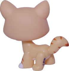 #1572 Destiny Cat