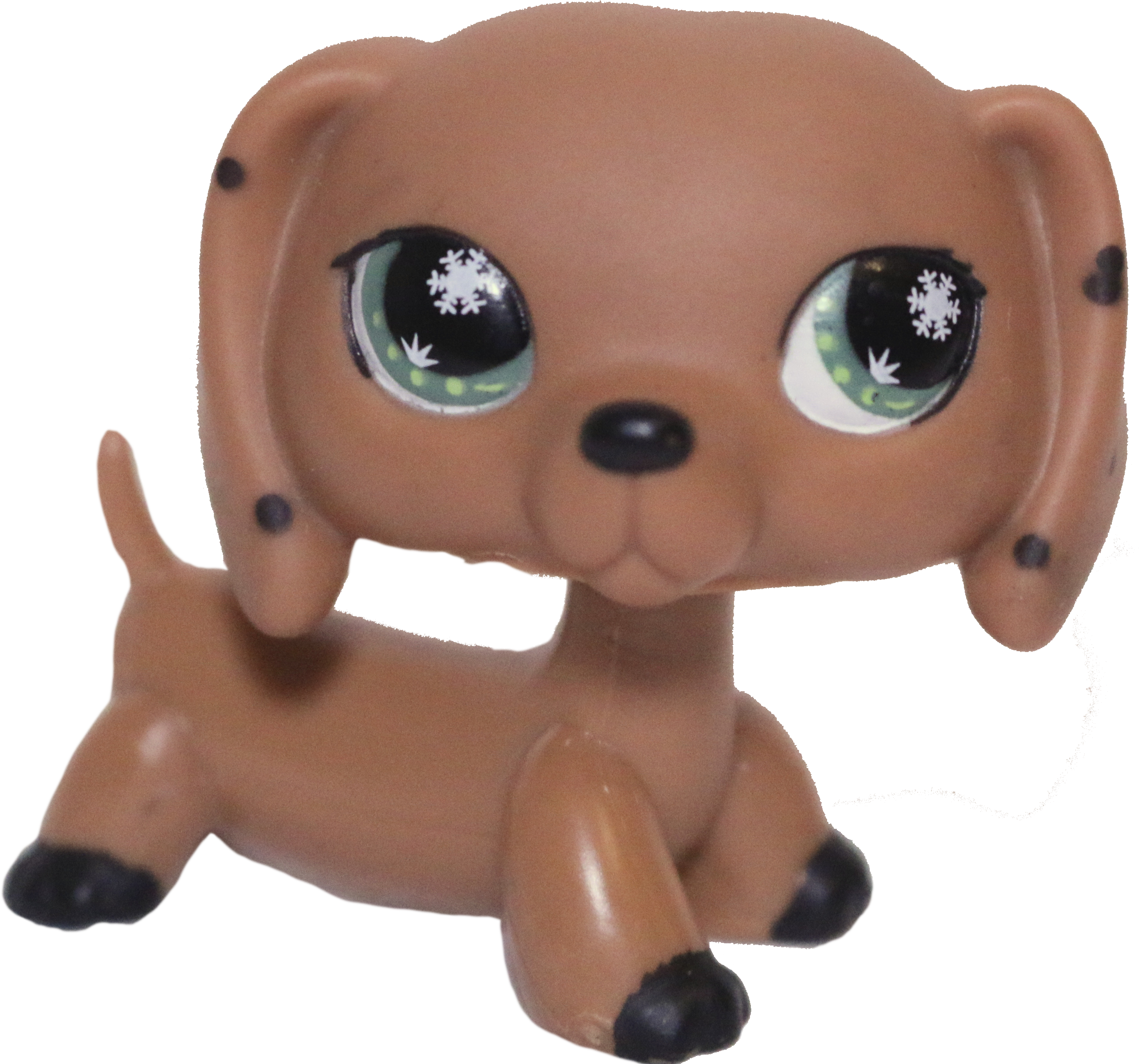 No # Dachshund