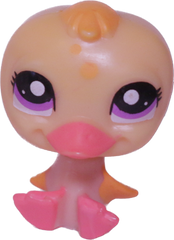 No # Duck