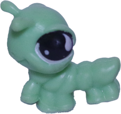 No # Inchworm