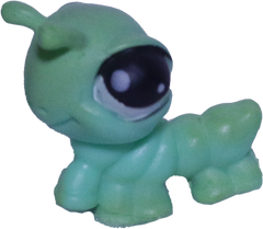 No # Inchworm