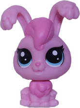 No # Mini Angora Rabbit