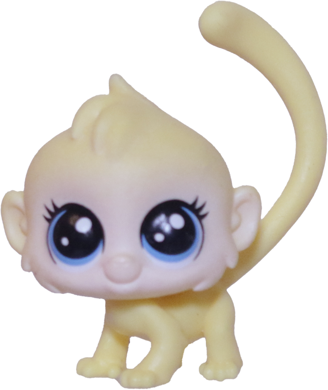 No # Mini Monkey