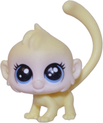 No # Mini Monkey