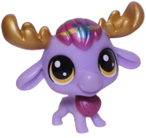 No # Moose "Cady"