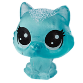 No # Teensy Persian Kitten