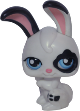 #PP4 Rabbit