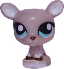 #T?? Teensiest Deer