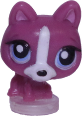 #T?? Teensiest German Sheperd