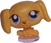 #T?? Teensiest Golden Retriever