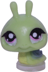 #T?? Teensiest Snail