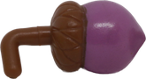 Acorn
