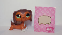 Big Five Pin - Dachshund