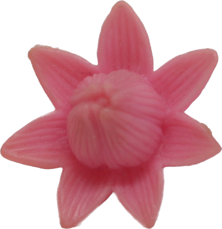 Lily Flower