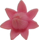 Lily Flower