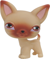 #0001 Chihuahua