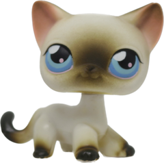 #0005 Shorthair Cat