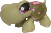 #0007 Turtle