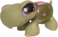 #0007 Turtle