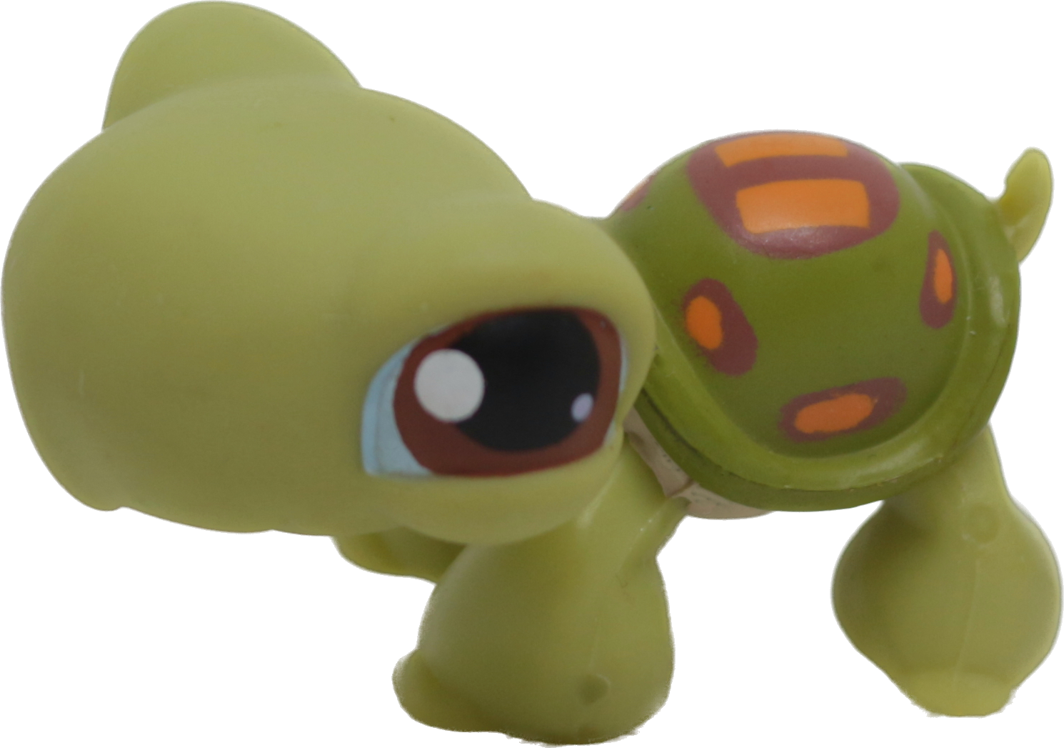 #0008 Turtle