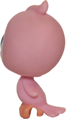 #0012 Parakeet
