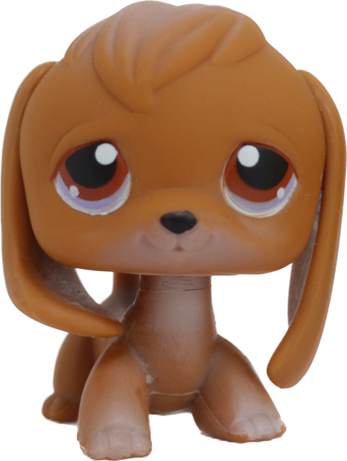 #0016 Beagle