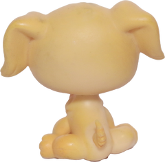#0021 Golden Retriever