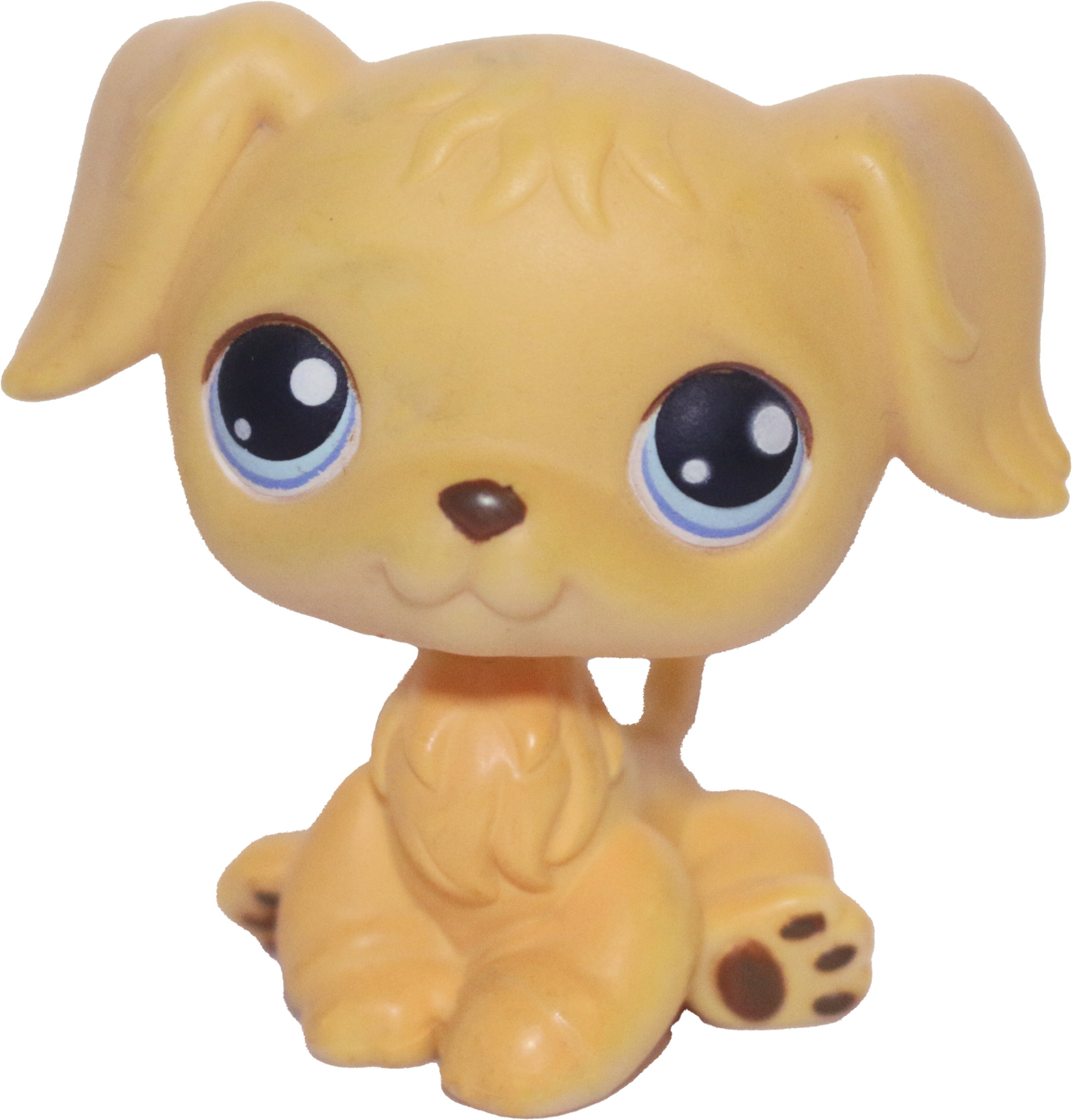 #0021 Golden Retriever