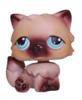 #0022 Persian Cat